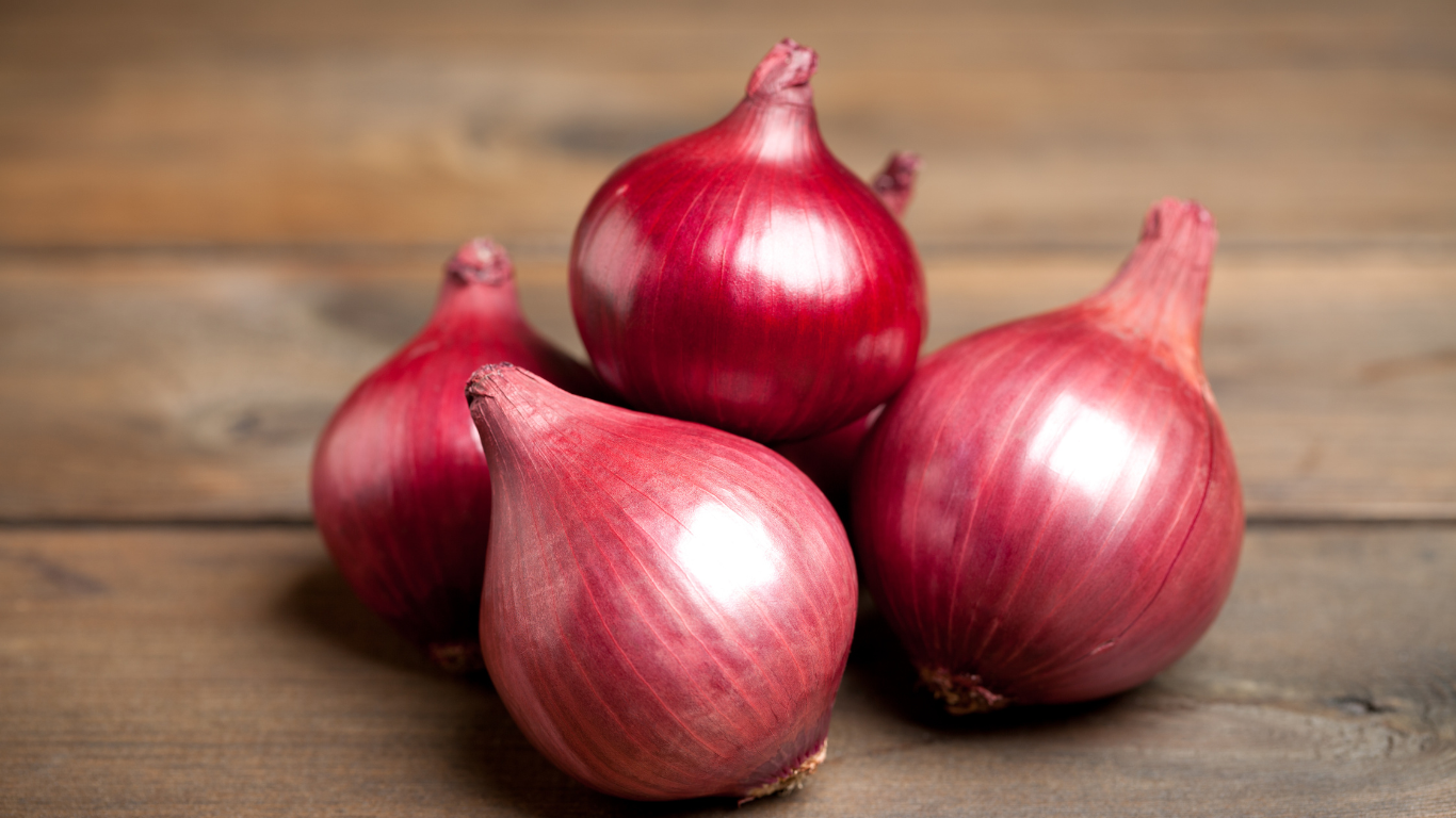 Fresh Onion Export