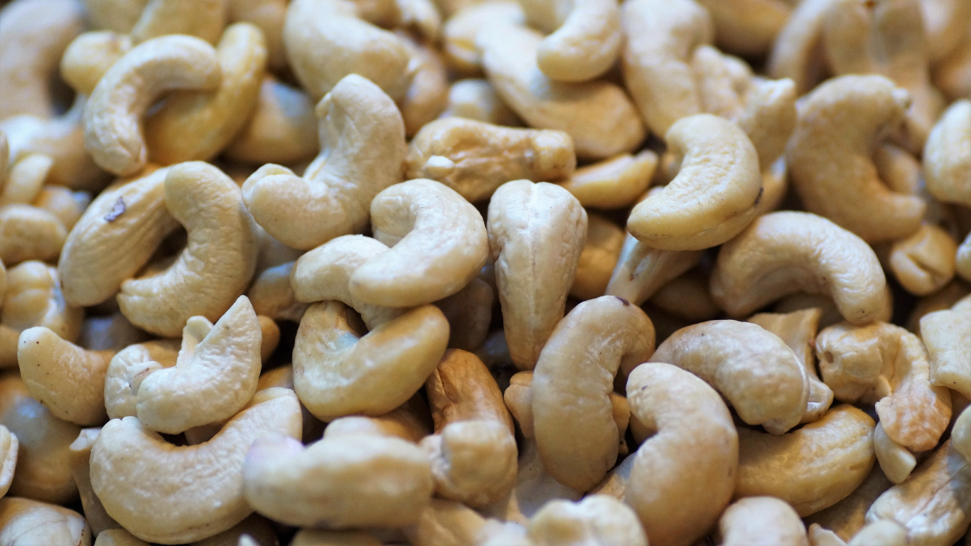 Premium Cashew Nuts Export