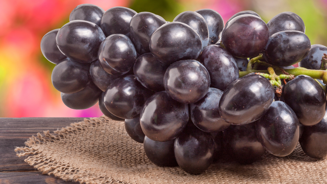 Fresh Black Grapes Export from India