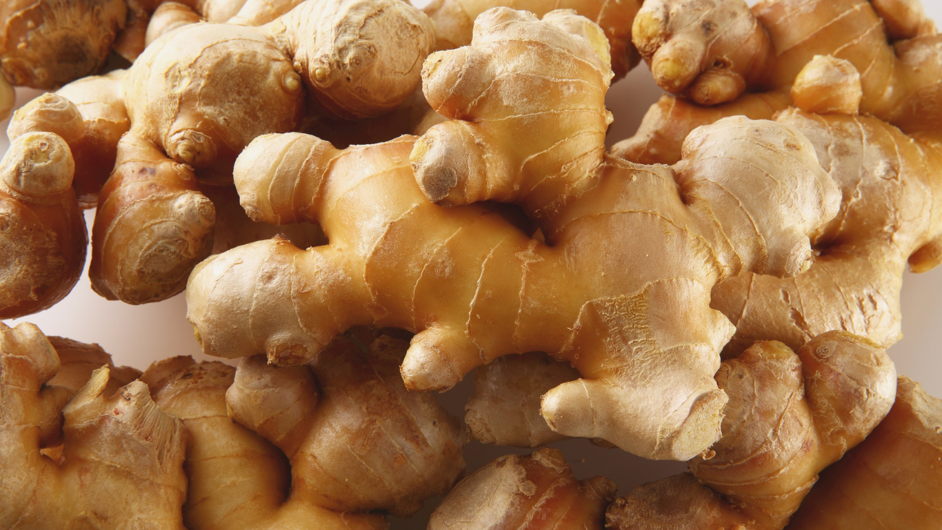 Fresh Ginger Export from India