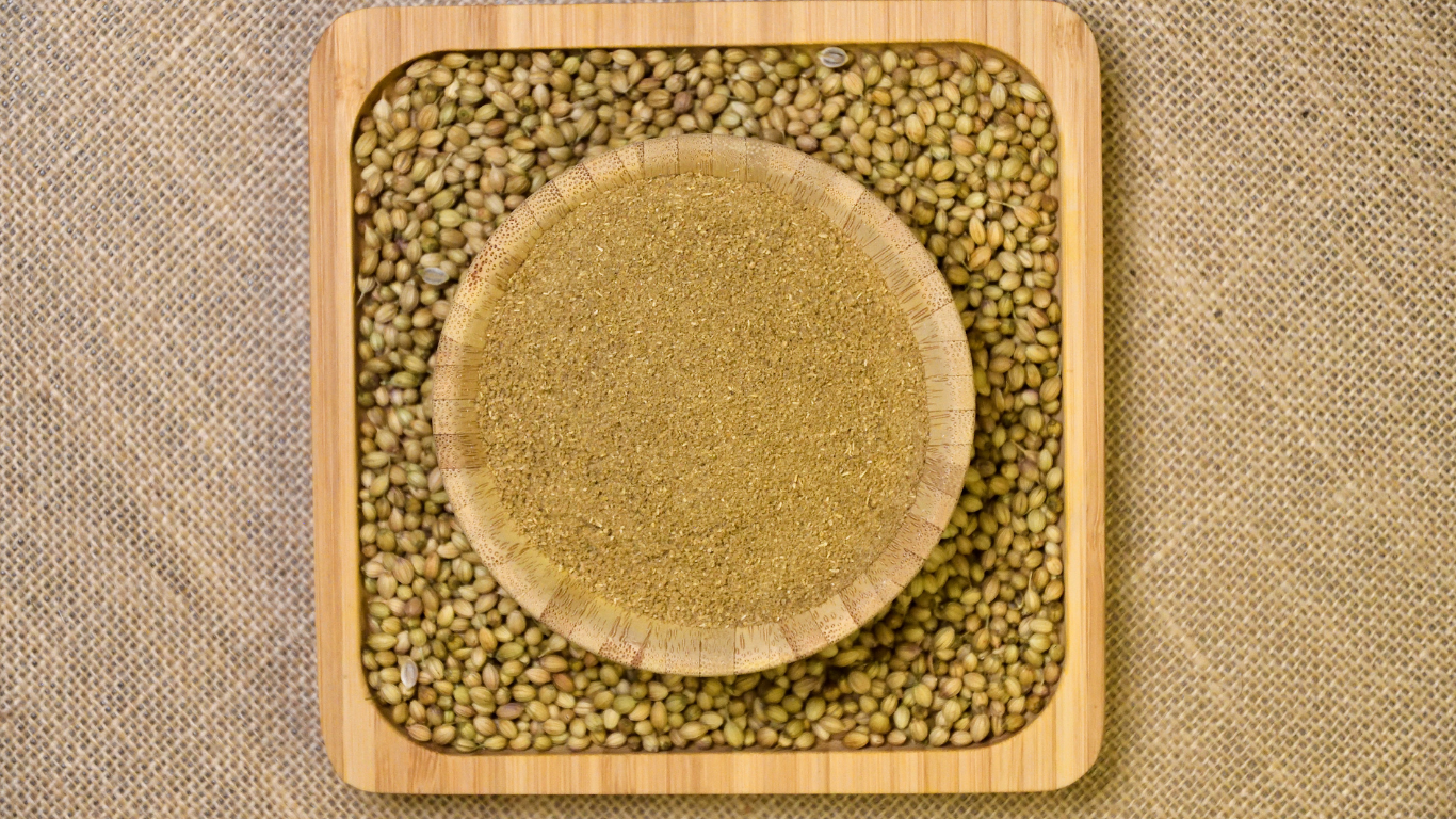 Coriander Powder Export from India