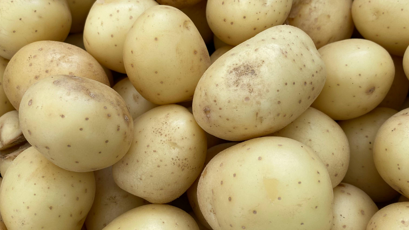Fresh Potatoes Export
