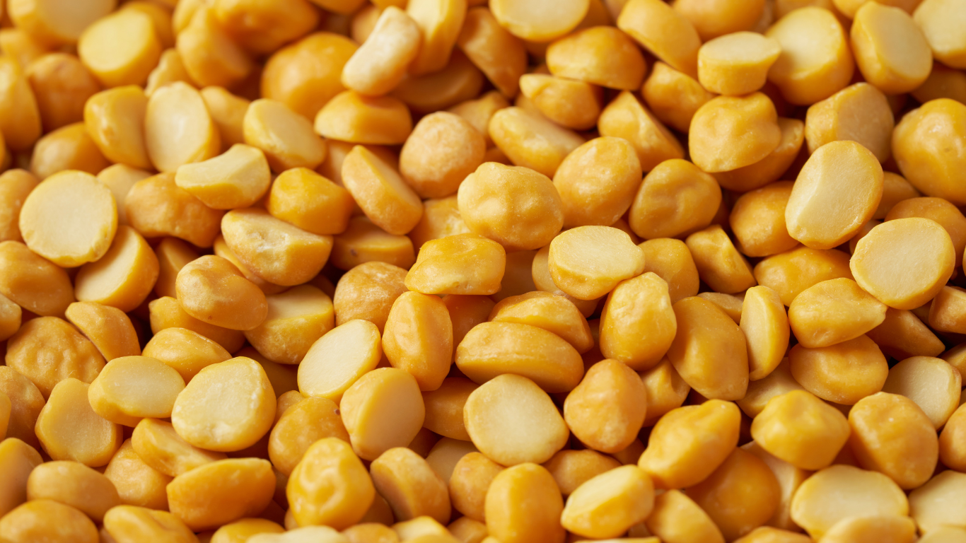 Chana Dal (Split Bengal Gram) Export from India