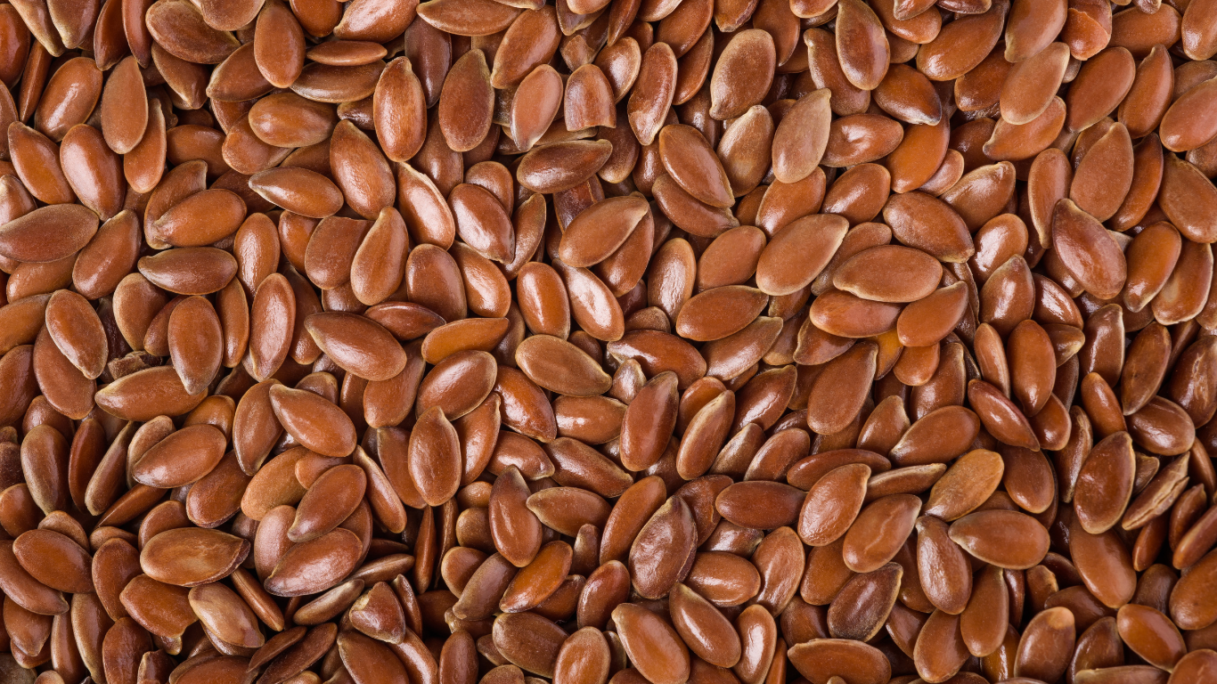 Flax Seeds (Linseed) Export from India