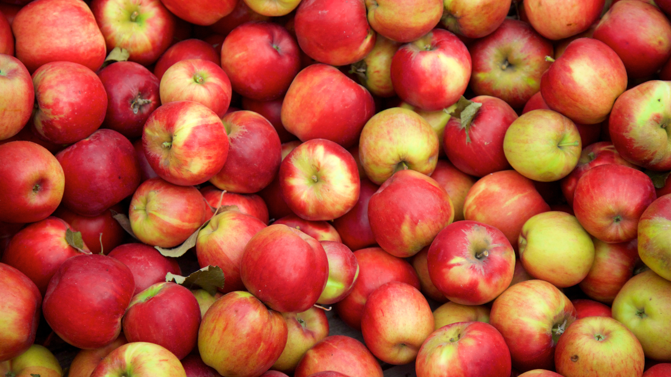 apples